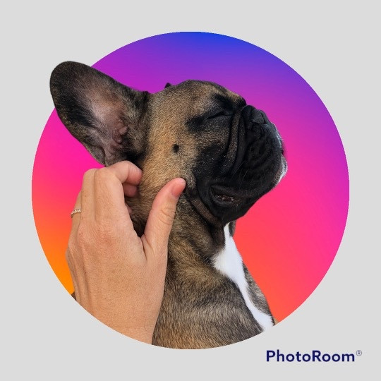 Les BB dans leurs familles